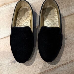 Birdies the starling 8.5